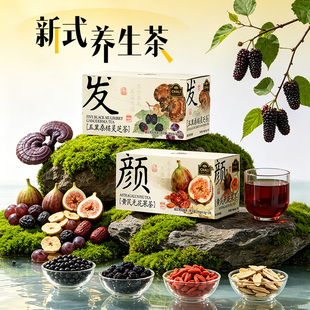 CHALI茶里五黑桑葚茶包水果茶养身茶