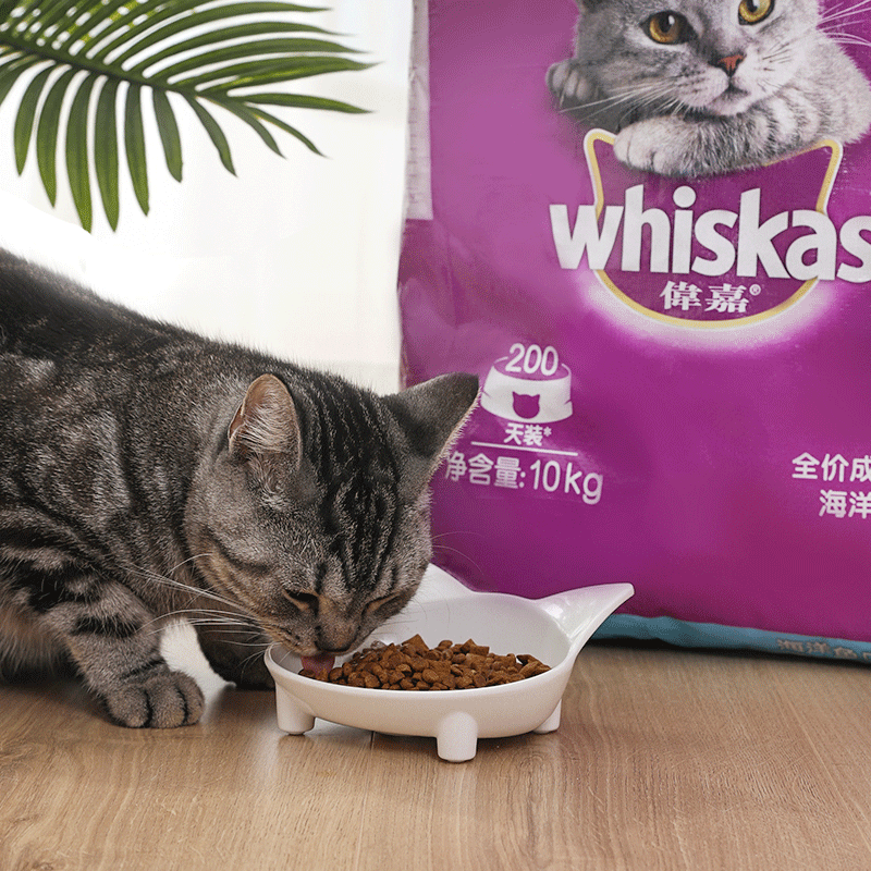 伟嘉猫粮猫咪主食成猫专用海洋鱼味10kg20斤美短橘猫宠物营养优惠券