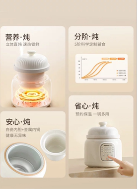 九阳分月龄BB粥电炖锅