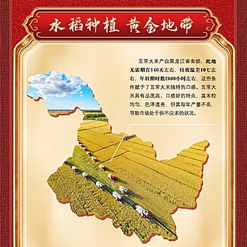 五米常香五稻田五常大米5斤[8元优惠券]-寻折猪