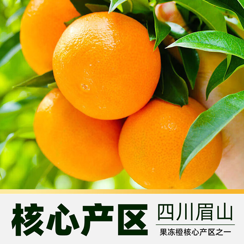 图 3