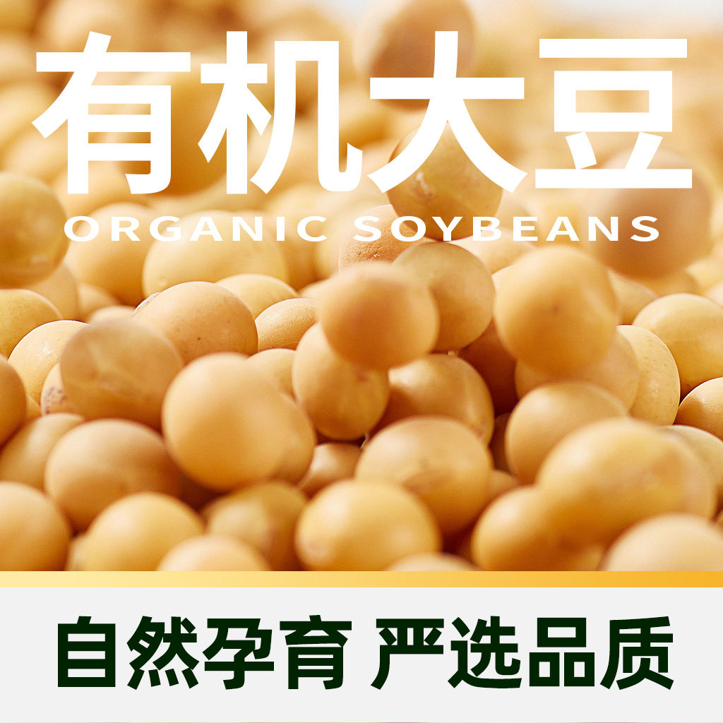 【臻选】豆本豆有机纯豆奶250ml*12盒植物蛋白饮料奶礼盒无蔗糖