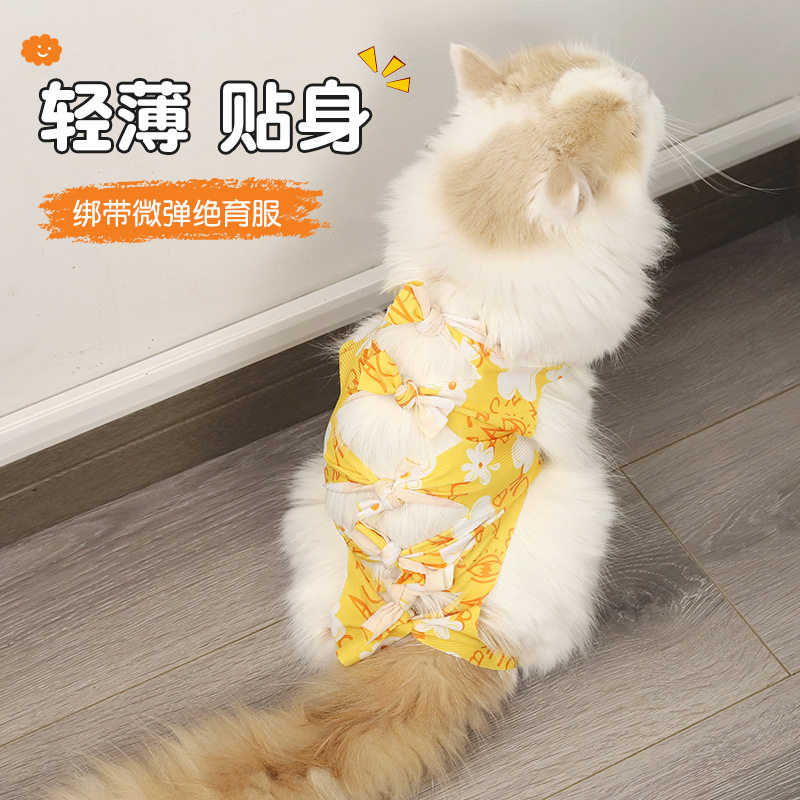 猫咪衣服绝育服母猫手术后用药服断奶生理裤防舔骚扰美容衣服涤纶,淘宝优惠券,粉丝福利购,淘宝优惠卷