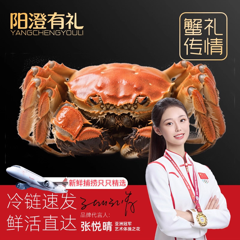 【活蟹现发】阳澄有礼大闸蟹礼盒装特大鲜活螃蟹去绳净重足两速发,淘宝优惠券,粉丝福利购,淘宝优惠卷