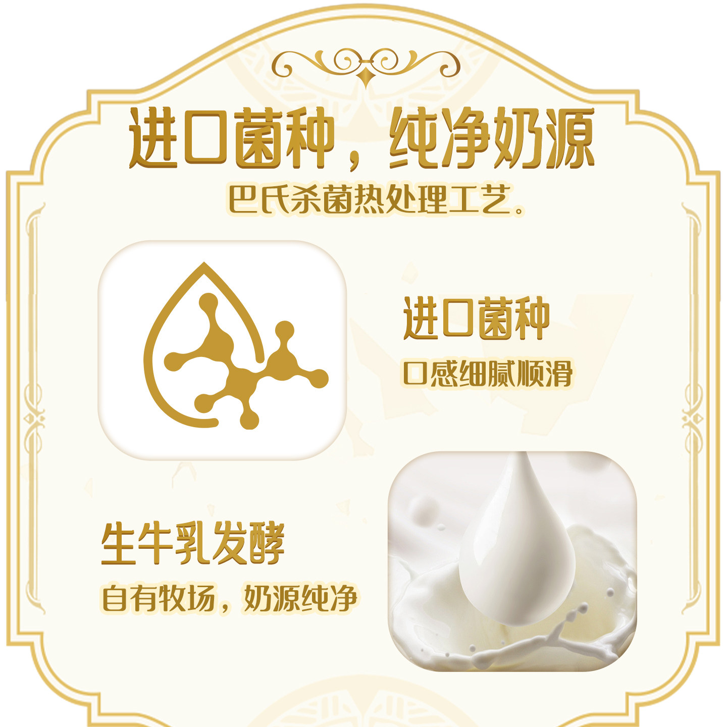 卫岗中华老字号酸牛奶饮品205g*10盒经典原味风味酸奶牛奶整箱