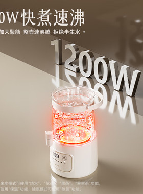 小熊养生壶炖煮一体家用电热水壶