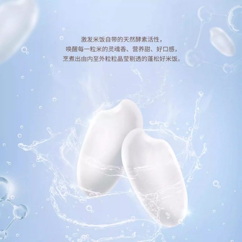 松下饭之舞电饭煲家用智能日本IH压力锅多功能小型电饭锅HZ102,淘宝优惠券,粉丝福利购,淘宝优惠卷