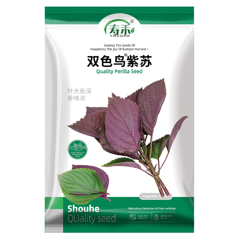 寿禾双色鸟紫苏种子蔬菜种籽10g孑菜种菜籽可食用四季苏子籽种 - 图3