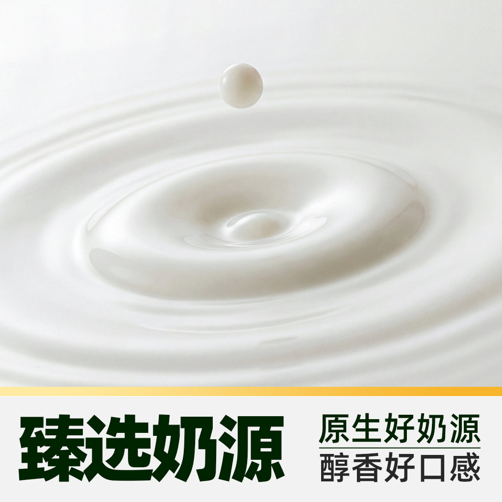 臻选钱塘龙井牛乳茶菊乐204g*10盒风味早餐奶儿童生牛乳饮料整箱