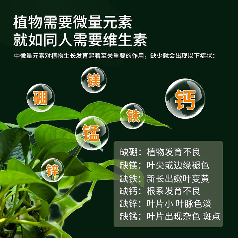 【一件包邮】植物营养液通用种菜养花肥料水培绿植花卉盆栽液体肥