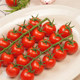 Zhicui Chuan Harvested Cherry Tomatoes Eat Raw and Ripen Naturally