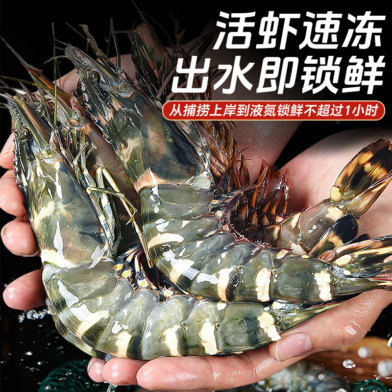 黑虎虾鲜活超大速冻新鲜大海虾老虎虾冷冻基围虾特大海鲜水产商用,淘宝优惠券,粉丝福利购,淘宝优惠卷