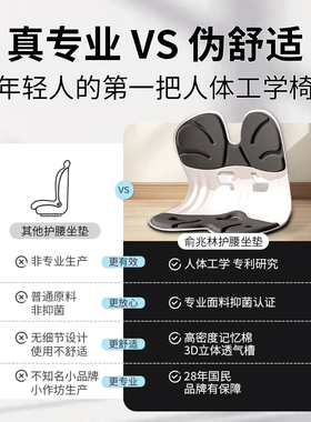 人体工学靠背垫腰部支撑久坐神器