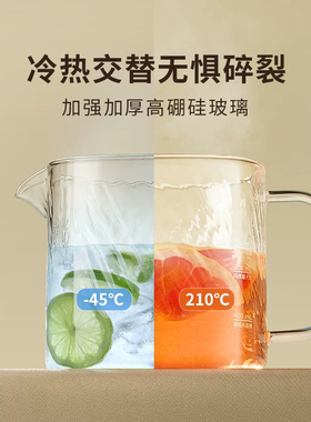 九阳全玻璃恒温养生多功能家用壶