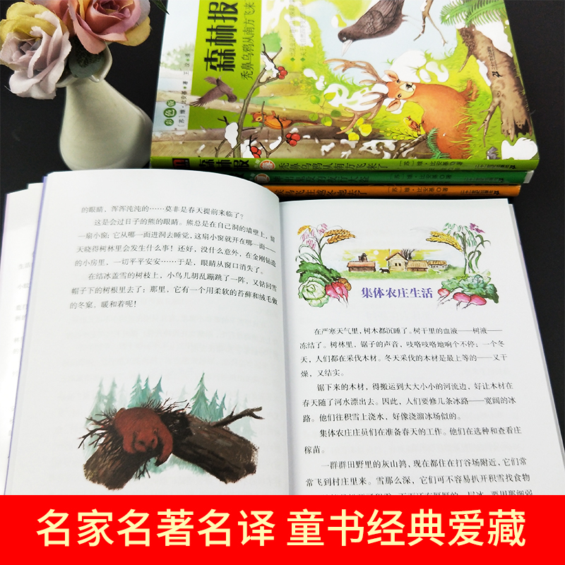 森林报春夏秋冬儿童读物故事书小学生课外阅读书籍新华书店,淘宝优惠券,粉丝福利购,淘宝优惠卷