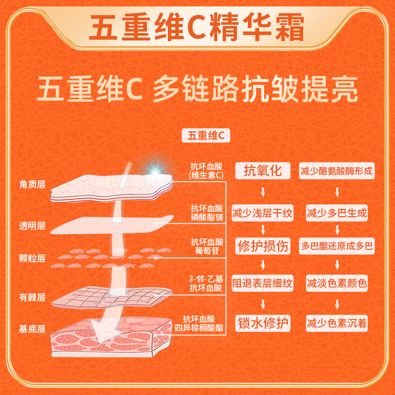 【VC】五重维C精华霜抗皱紧致淡化细纹改善养护保湿亮肤臻颜面霜 - 图2