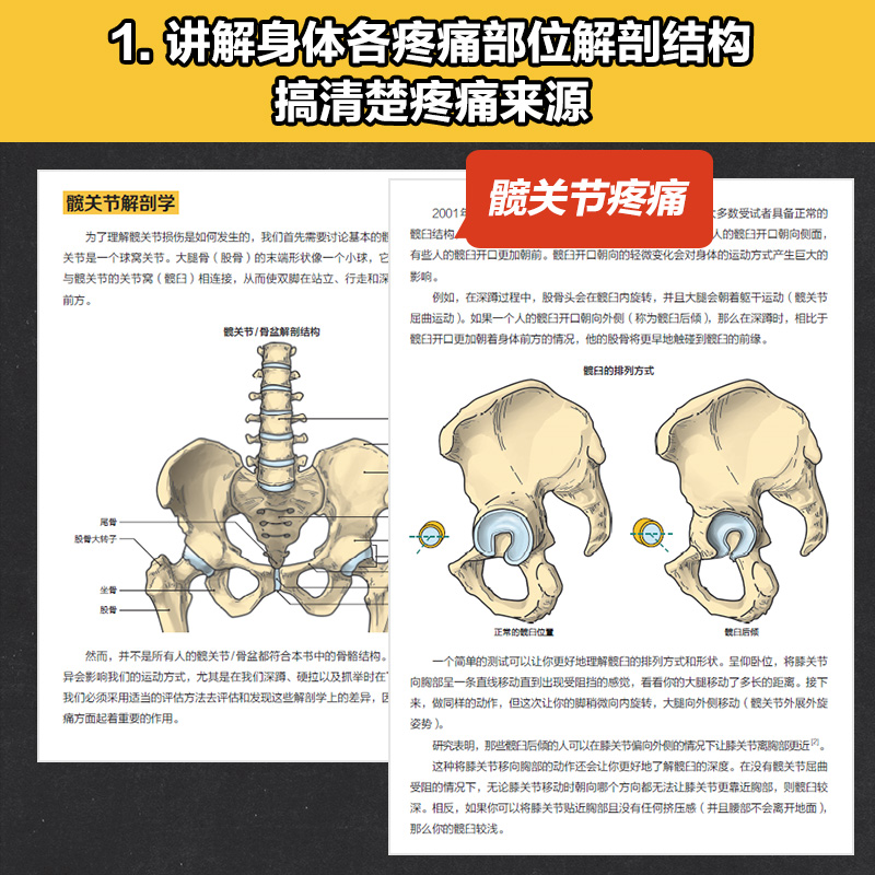 重返巅峰 力量训练者伤后功能重建肌骨康复训练 损伤缓解攻略书 - 图1