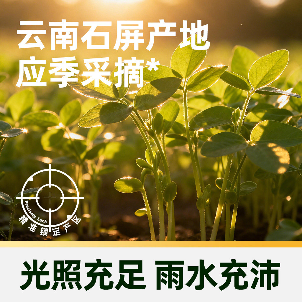 猫超臻选云南石屏有机腐竹易泡发火锅凉拌炒菜炖汤家常食材118g