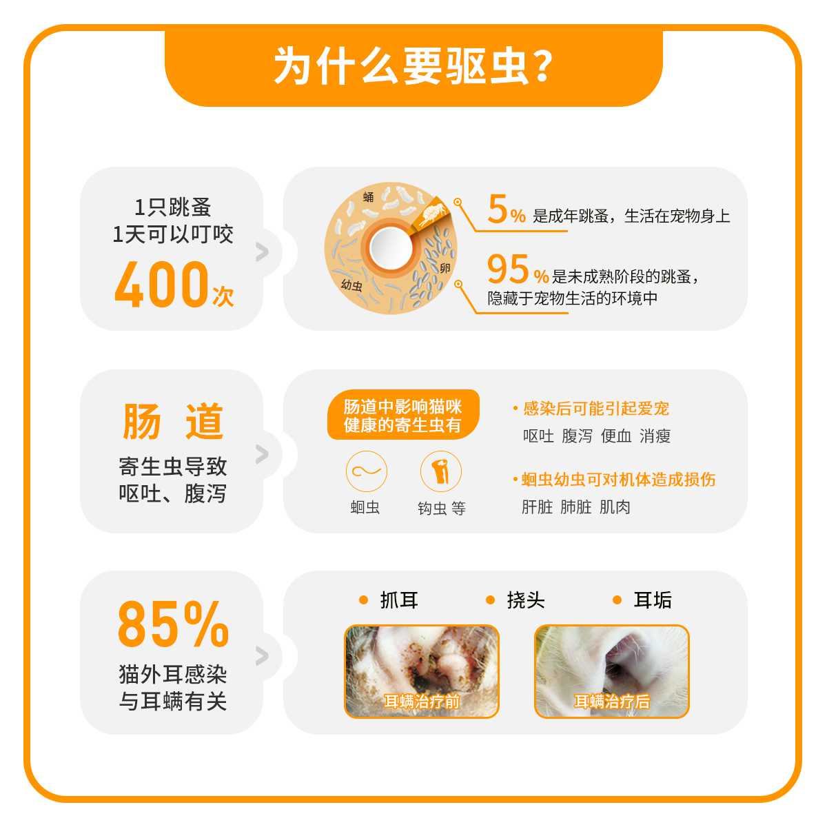 德国拜耳爱沃克耳螨驱虫药猫用体内外一体滴剂4~8kg0.8ml单支装 - 图3