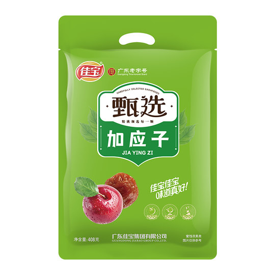 佳宝加应子水果干果脯408g李子梅子蜜饯散装韩话梅网红休闲小零食