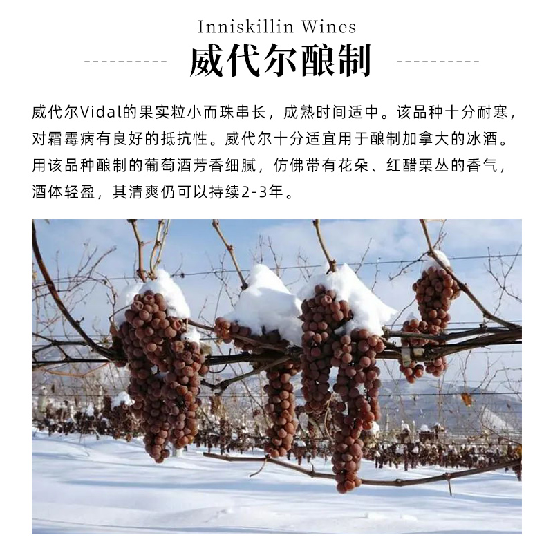 加拿大inniskillin甜酒云岭珍珠冰酒威代尔白葡萄酒Icewine375ml - 图0