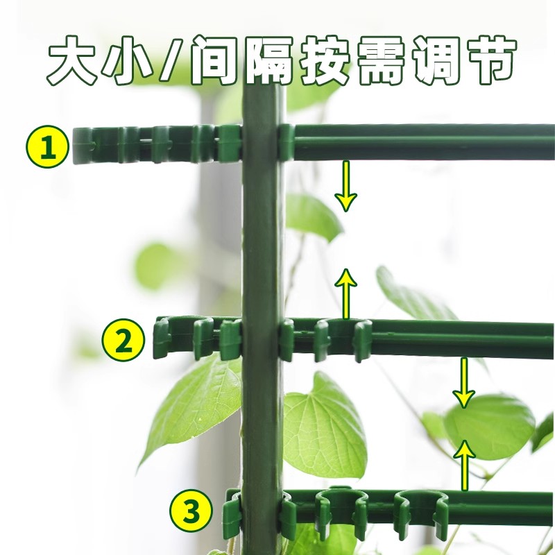 深邦花架爬藤架花盆支架托架庭院植物包塑钢管厚葡萄架爬藤花架子 - 图2