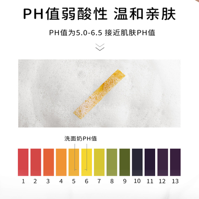 婵真银杏泡沫洗面奶2支装洁面乳