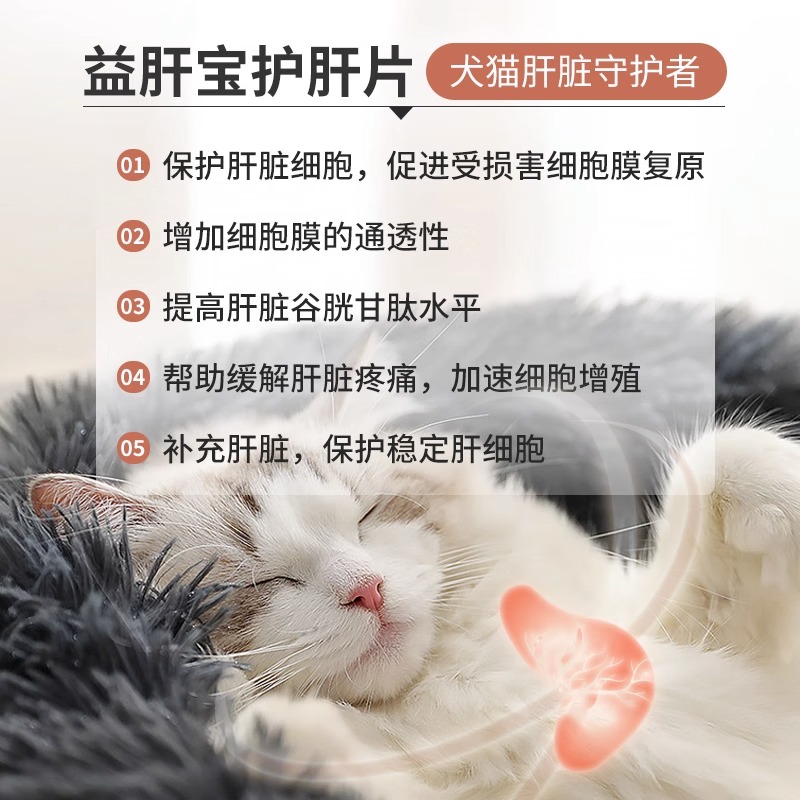 朗博特猫咪护肝片狗狗保肝宠物黄疸腹水肝脏受损猫 - 图2