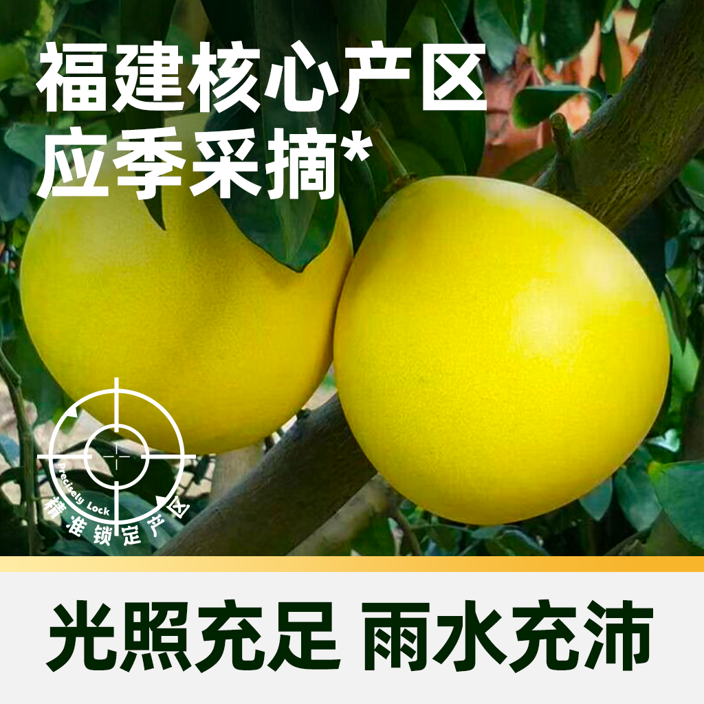 Premium red pomelo with thin skin and thick flesh