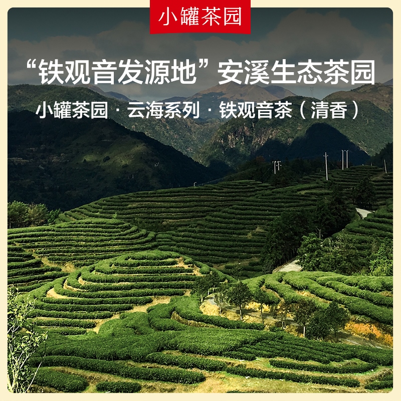 小罐茶云海系列铁观音清香型小罐茶园乌龙茶罐装茶叶自己喝