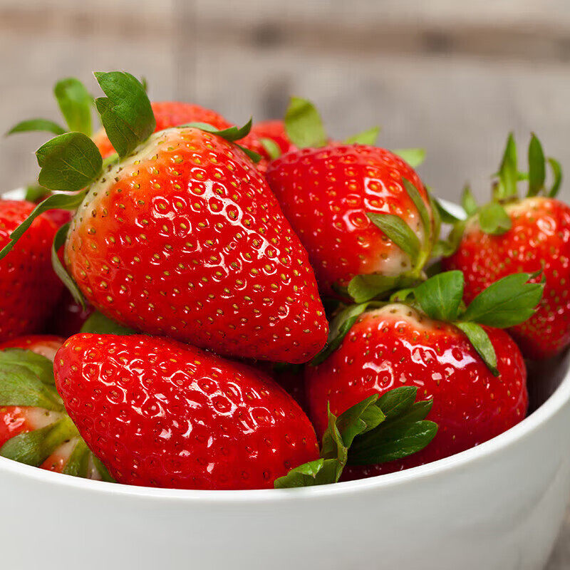 四川大凉山露天奶油草莓现摘新鲜水果生鲜时令礼盒