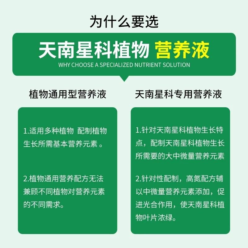 【顺丰包邮】南天星植物专用肥龟背竹专用营养液天南星科琴叶榕盆,淘宝优惠券,粉丝福利购,淘宝优惠卷