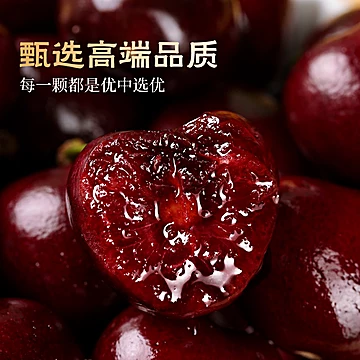 智利进口新鲜3J车厘子5斤[15元优惠券]-寻折猪