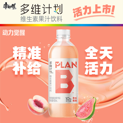康师傅多维计划450ml×12瓶