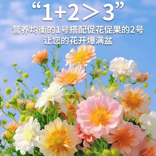 DWD德沃多肥料花多多1号2号10号绿植蝴蝶兰月季多肉通用水溶肥 - 图0