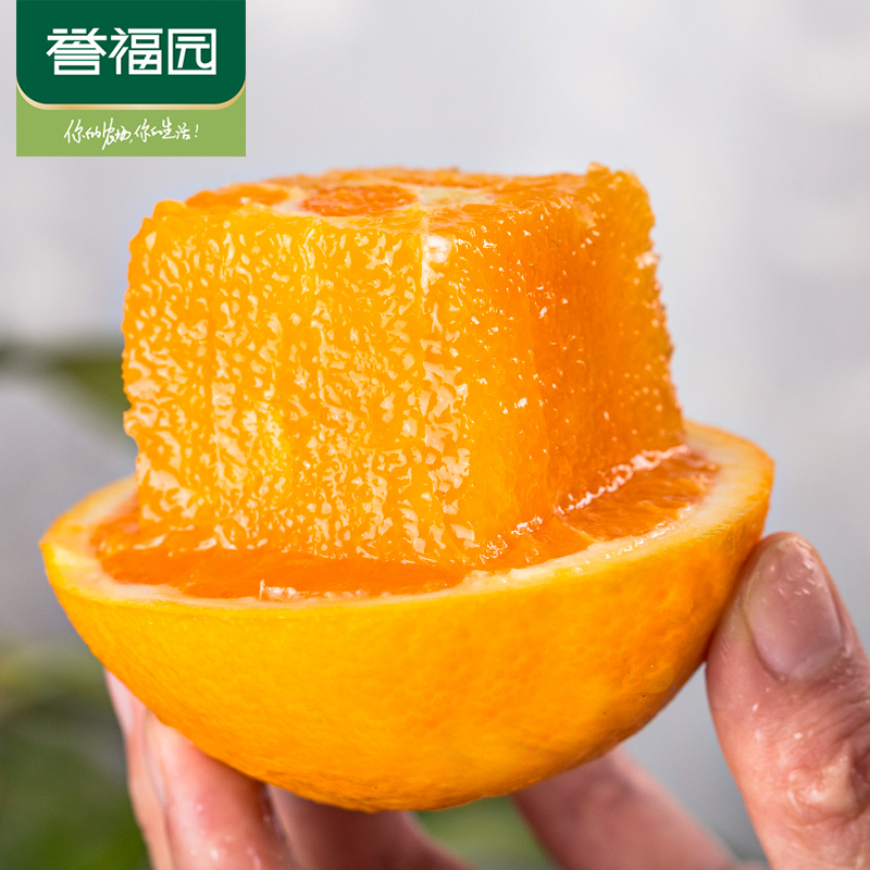 【猫超】秭归脐橙5斤大果甜橙子