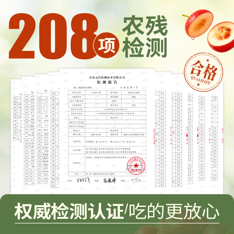 金晔益生元陈皮山楂条草本配方软糯果脯