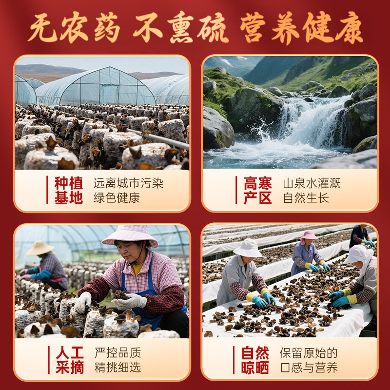 绿山珍品礼盒大礼包400g送礼木耳银耳香菇鹿茸菇羊肚菌干货组合,淘宝优惠券,粉丝福利购,淘宝优惠卷