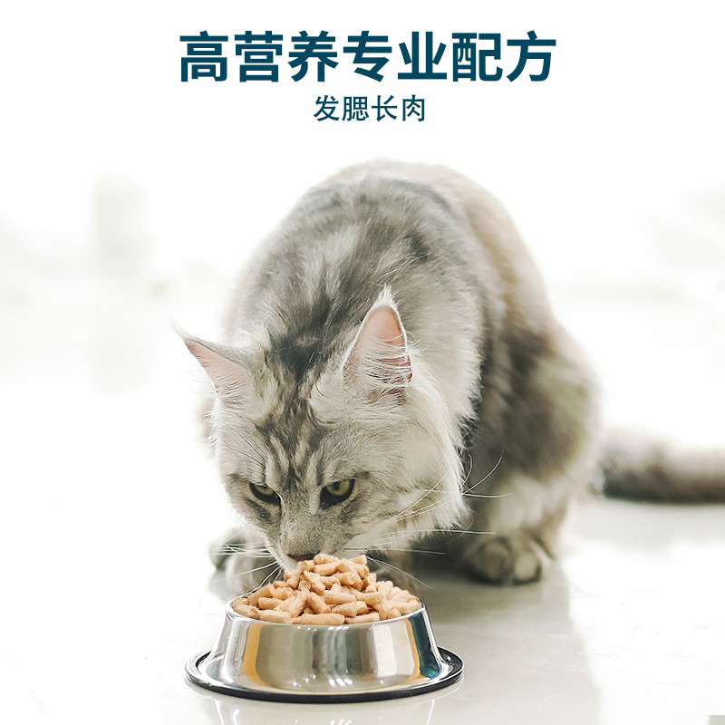 鲜朗猫主粮猫粮300g无谷主食奶糕幼猫成猫布偶冻干生骨肉 - 图1