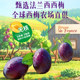Liuliumei French seedless prunes
