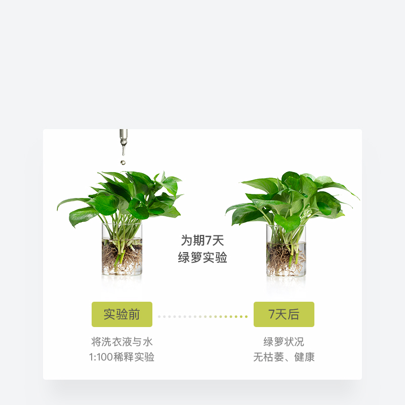 天猫超市babycare婴儿酵素洗衣液宝宝专用800ml*1+500ml*4新生儿童去污渍3