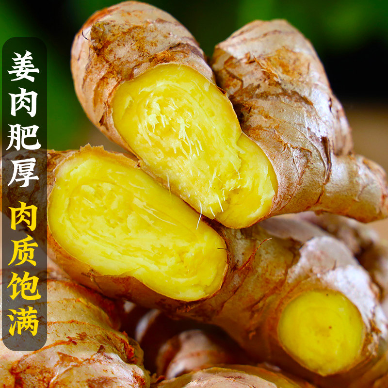 云南小黄姜红河新鲜生姜老姜现挖高山沙姜土姜种子蔬菜,淘宝优惠券,粉丝福利购,淘宝优惠卷