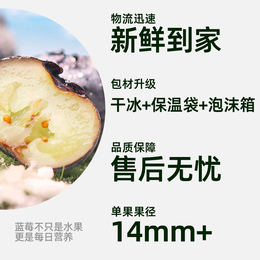 佳沃云南晚熟高山蓝莓中果/大果礼盒装当季孕妇新鲜水果