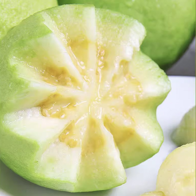 广西应季水果脆甜白心芭乐珍珠番石榴软糯香甜热带水果现摘现发,淘宝优惠券,粉丝福利购,淘宝优惠卷