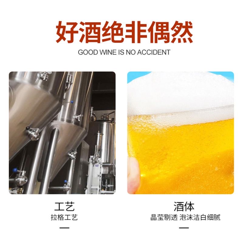 天湖啤酒9度原酿500ml*12听整箱 - 图2