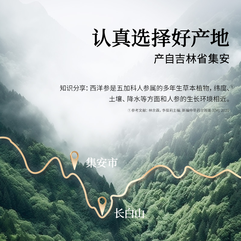【正宗同仁堂品牌】北京同仁堂青源堂西洋参200g中秋礼盒送礼补品