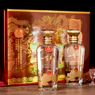 宜宾五粮液一尊天下500ml*2瓶