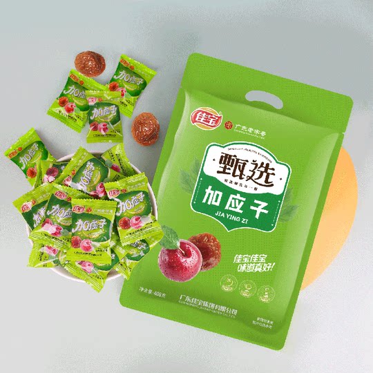 佳宝加应子水果干果脯408g李子梅子蜜饯散装韩话梅网红休闲小零食