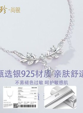珍·尚银新款女生礼物项链