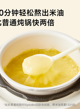 浦利顿电压力锅